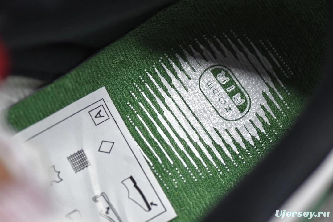 NK Dunk SB Low Heineken