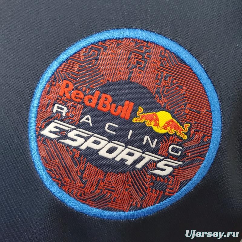 F1 Red Bull Gaming Edition 