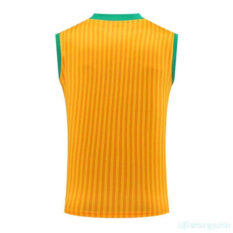 23-24 Bayern Munich Yellow Remake Icon Vest Jersey+Shorts