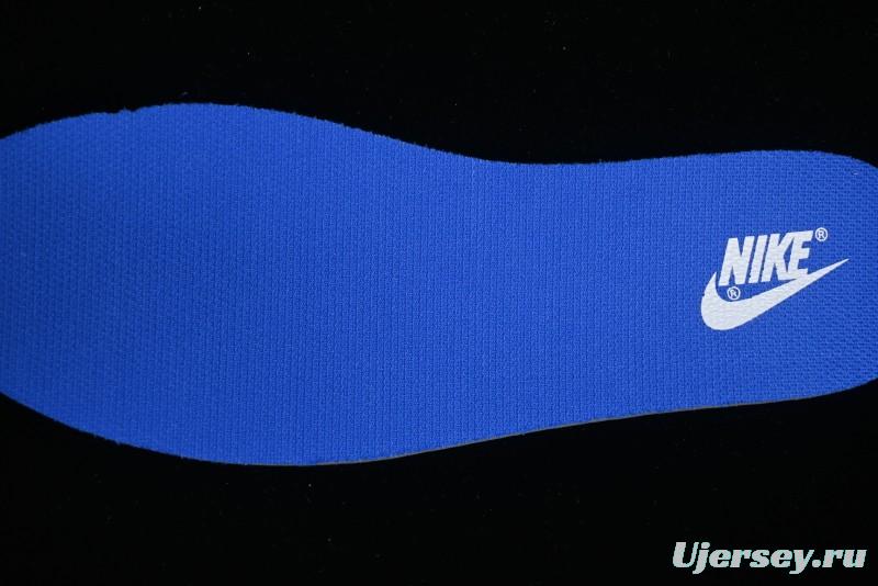 Nike Dunk Low Winter is Here Minimalist White Blue SB Lace-Up Low-Top Casual Skate Shoes - DV0831-104