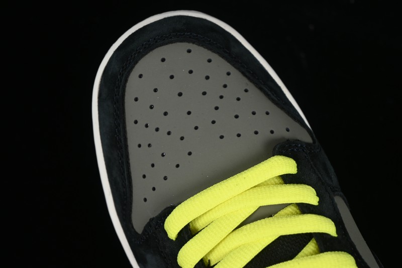 Nike Dunk Low SB Skateboarding Shoes - 302517-236
