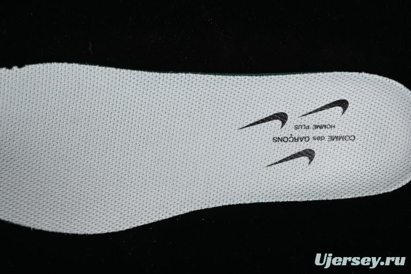 Nike ACG Mountain Fly 2 Low SP Outdoor Hiking Shoes with GORE-TEX and React Foam - FZ3311-100