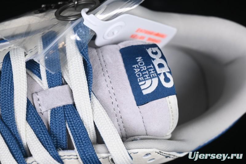 Nike SB Dunk Low The North Face Collaboration Anniversary Edition Customized Low-Top Casual Skate Shoes - DM6868-040