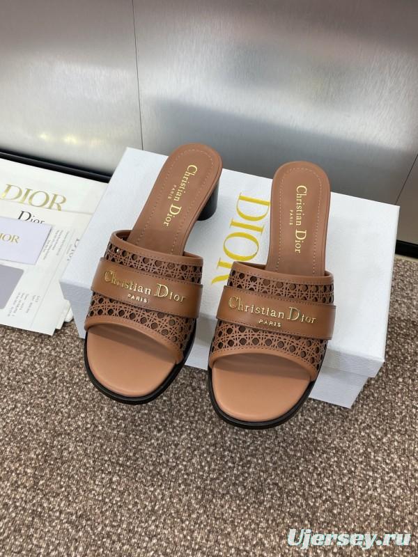 2025 Women Dior Brown Leather Sandals Christian Dior Paris KFY00310