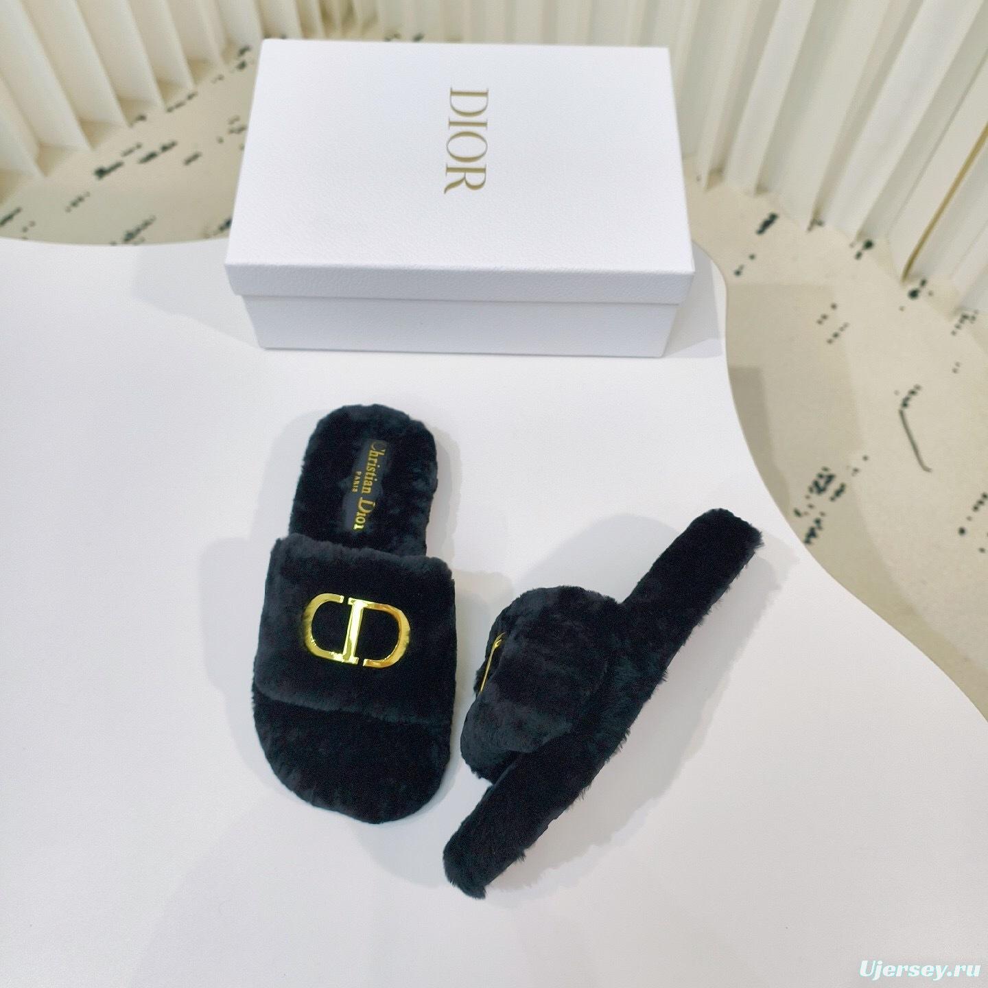Dior Metal Buckle Wool Slippers Series - LY00280