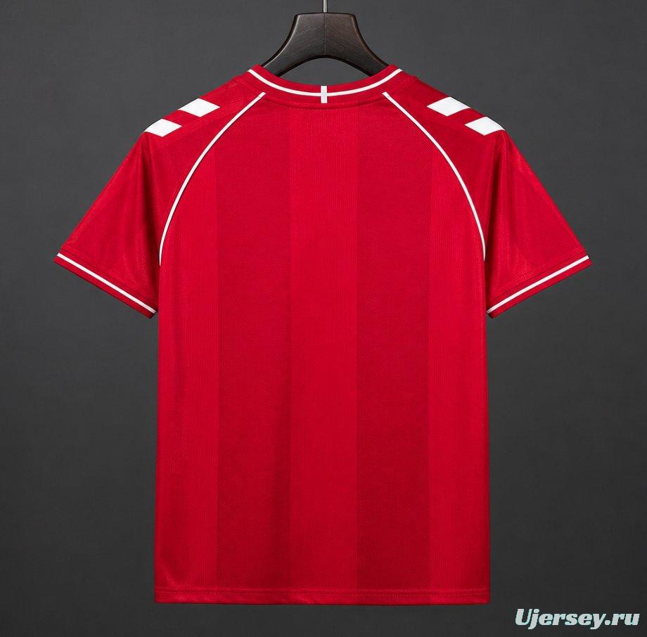 2026 Denmark Home Jersey